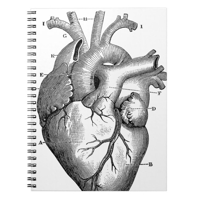 Schwarzes anatomisches Herz Notizblock (Vorderseite)