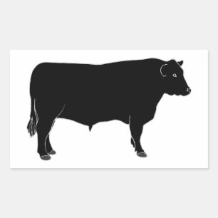 Schwarzes Angus Stier Rechteckiger Aufkleber
