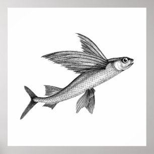 Schwarzes Antiquariat-Flying-Fish-Illustrationspos Poster
