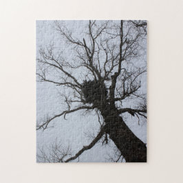 Schwarzes Bach-Nest