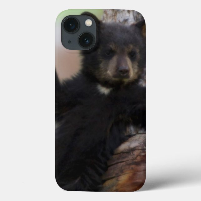 Schwarzes Bärenjunges Lounging Case-Mate iPhone Hülle (Rückseite)