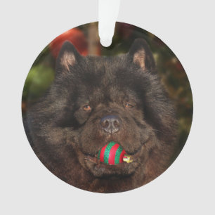 Schwarzes Chow-Chow Hundweihnachten Ornament