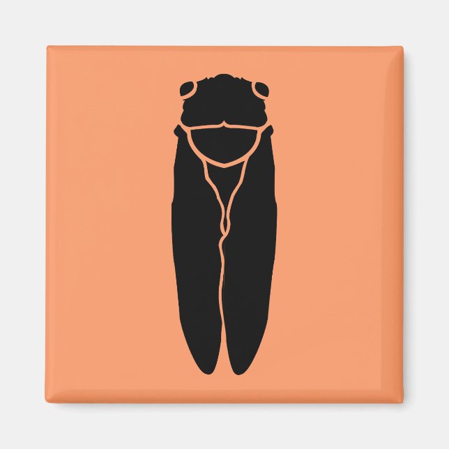 Schwarzes Cicada-Insekt Magnet (Vorne)