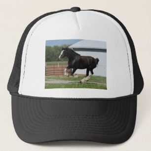 Schwarzes Clydesdale Truckerkappe