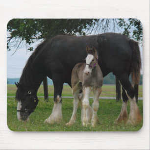 Schwarzes Clydesdale und Stutenfohlen Mousepad