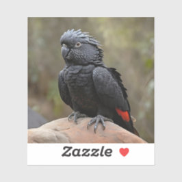 Schwarzes Cockatoo Aufkleber