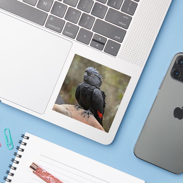Schwarzes Cockatoo Aufkleber (Laptop mit iPhone)
