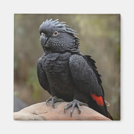 Schwarzes Cockatoo Magnet