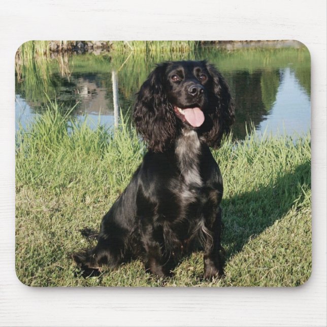 Schwarzes Cocker spaniel-Hündchen Mousepad (Vorne)
