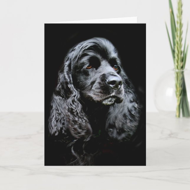 Schwarzes Cocker spaniel Karte (Vorderseite)