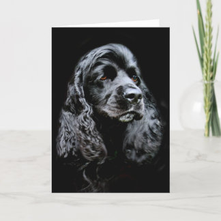 Schwarzes Cocker spaniel Karte