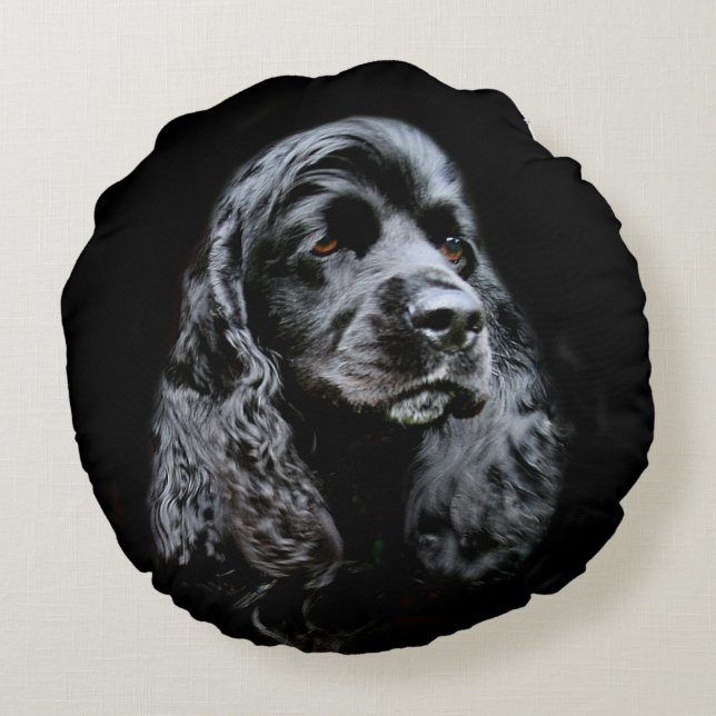 Schwarzes cocker spaniel stellen gegenüber rundes kissen (Rückseite)