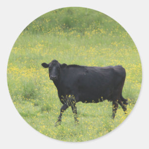 Schwarzes Cow_0075 Runder Aufkleber