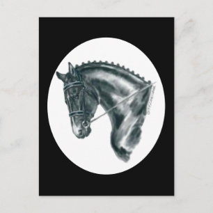 Schwarzes Dressage Pferd Portrait Postkarte