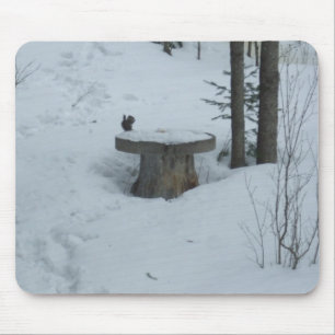 Schwarzes Eichhörnchen nach dem Frühstück Mousepad