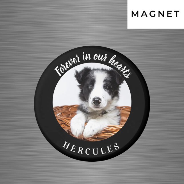 Schwarzes Foto Liebe Hund Magnet (Von Creator hochgeladen)
