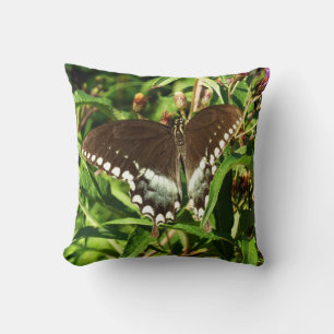 Schwarzes Frack Butterfly Naturfotografie Kissen
