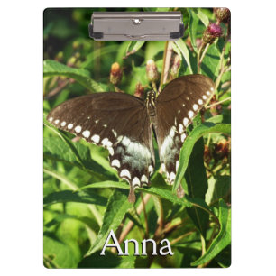 Schwarzes Frack Butterfly Naturfotografie Klemmbrett
