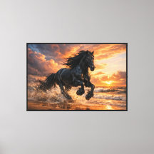 Schwarzes Friesenpferd bei Sonnenuntergang, Kraftv