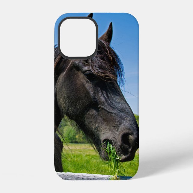 Schwarzes Friesenpferd iPhone 12 Hülle (Rückseite)