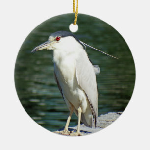 Schwarzes gekrönter Nachtreiher, welche nach eine Keramik Ornament
