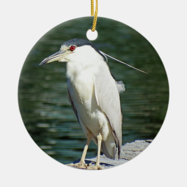Schwarzes gekrönter Nachtreiher, welche nach einer Keramik Ornament (Vorne)