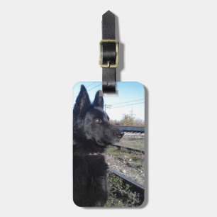 Schwarzes GSD mit Zug-Bahnen Gepäckanhänger