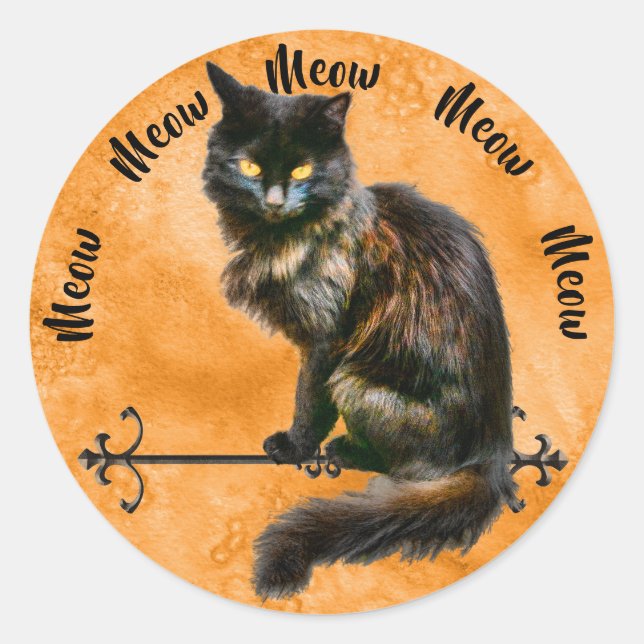 Schwarzes Halloween-Katzen Fotografie Orange Grung Runder Aufkleber (Vorderseite)