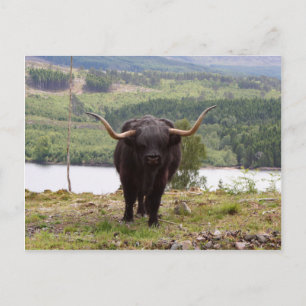 Schwarzes Hochland, Schottland Postkarte