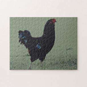 Schwarzes Hühnchen im Gras Art Puzzle