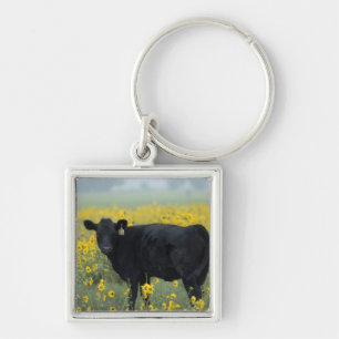 Schwarzes Kalb auf einem Feld mit Sonnenblumen Schlüsselanhänger