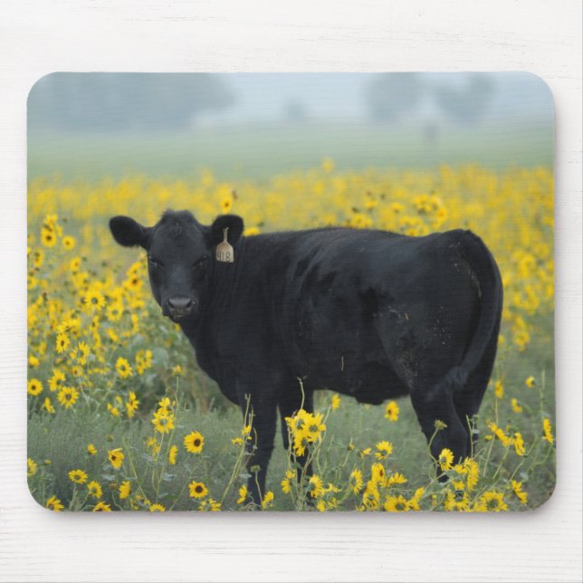 Schwarzes Kalb in einem Feld der Sonnenblumen Mousepad (Vorne)