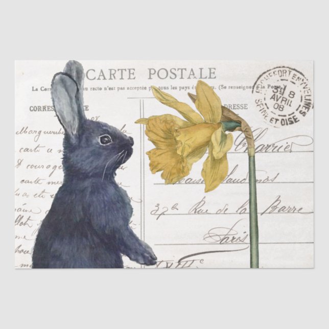 Schwarzes Kaninchen Donodil Osterfeier Blume Posta Seidenpapier (Vorderseite)