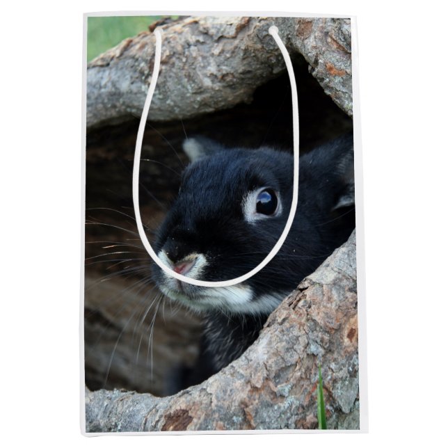 Schwarzes Kaninchen im Hollow eines Baumes Mittlere Geschenktüte (Vorderseite)