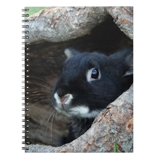 Schwarzes Kaninchen im Hollow eines Baumes Notizblock (Vorderseite)
