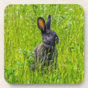 Schwarzes Kaninchen in den Grasharten Untersetzer