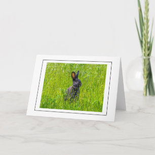 Schwarzes Kaninchen in einem Feld Grußkarte Karte