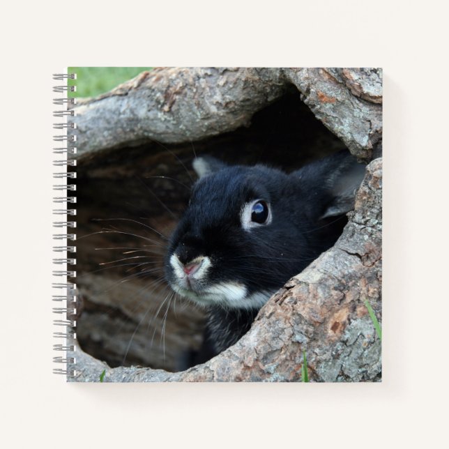 Schwarzes Kaninchen in Hollow eines Baum-Fotos Notizbuch (Vorderseite)