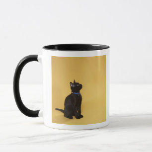 Schwarzes Kätzchen im Kragen Tasse