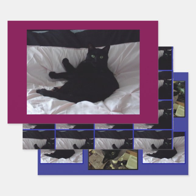 Schwarzes Katzen-Geschenkpapier-Set mit 3 Bögen Geschenkpapier Set (Set)