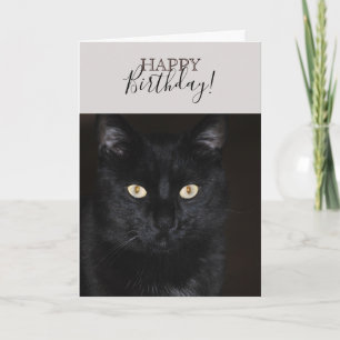 Schwarzes Katzen-Portrait Karte