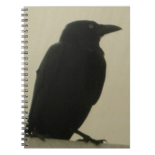 Schwarzes Krähen-Notizbuch Notizblock