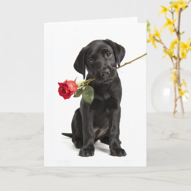 Schwarzes Laberl zum Valentinstag Karte (Gelbe Blume)