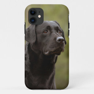 Schwarzes Labor iPhone 11 Hülle