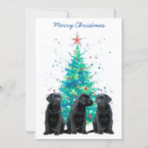 Schwarzes Labor Frohe Weihnachts Labrador Niedlich