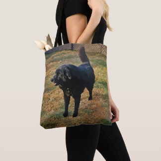 Schwarzes Labor in der Fall Sun-Tasche Tasche
