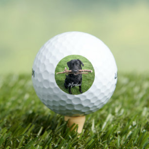 Schwarzes Labor mit zwei Sticks Dog Personalisiert Golfball