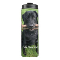 Schwarzes Labor mit zwei Sticks Foto für Hunde und