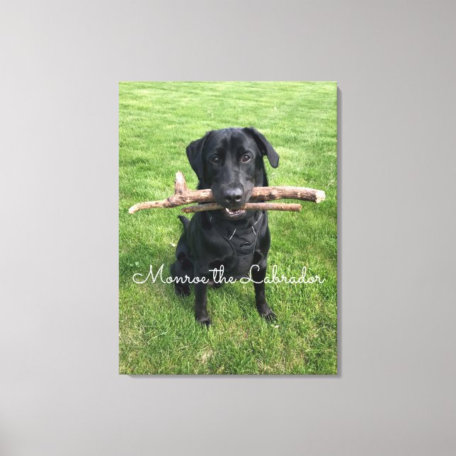 Schwarzes Labor mit zwei Sticks Hund Foto und Name Leinwanddruck (Vorderseite)