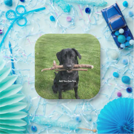 Schwarzes Labor mit zwei Sticks Hund Foto und Name Pappteller